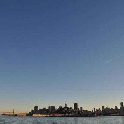 First-Aid Kit for Cattle